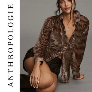 NWT Pilcro Anthropologie Velvet Burnout Taupe Pinstripe Women's Buttondown Shirt